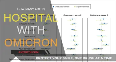 Omicron Hospitalizations: What's the Current Count?