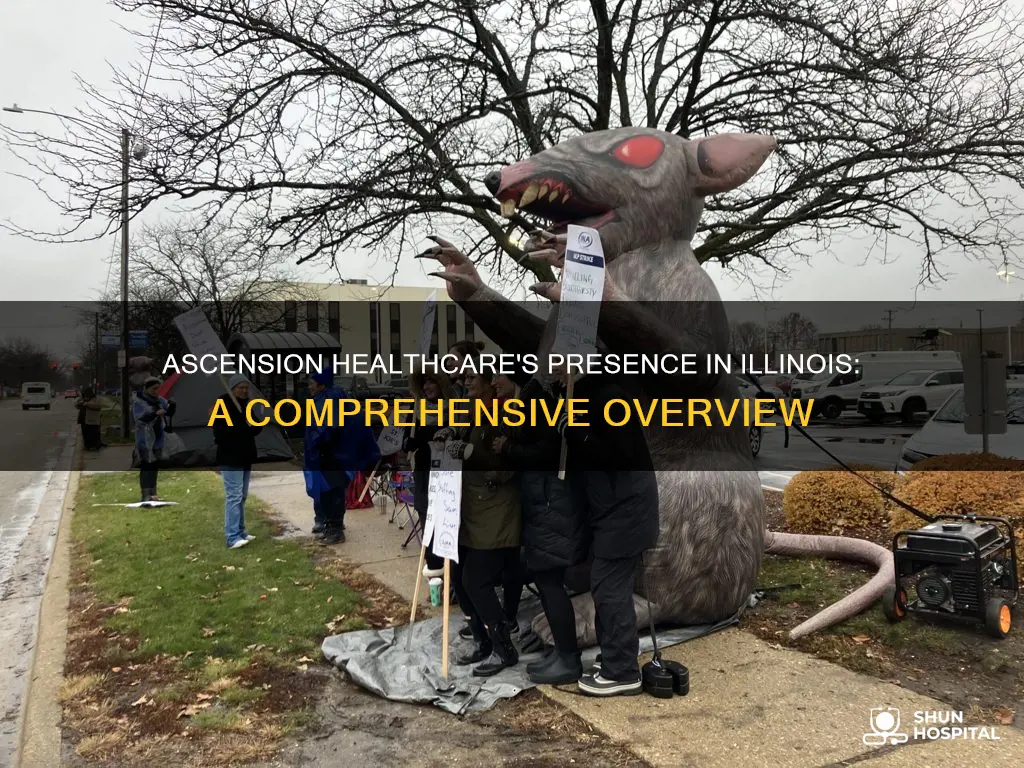 how many ascension hospitals are in illinois