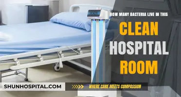 Unseen Microbes: Exploring Bacteria in a Spotless Hospital Room