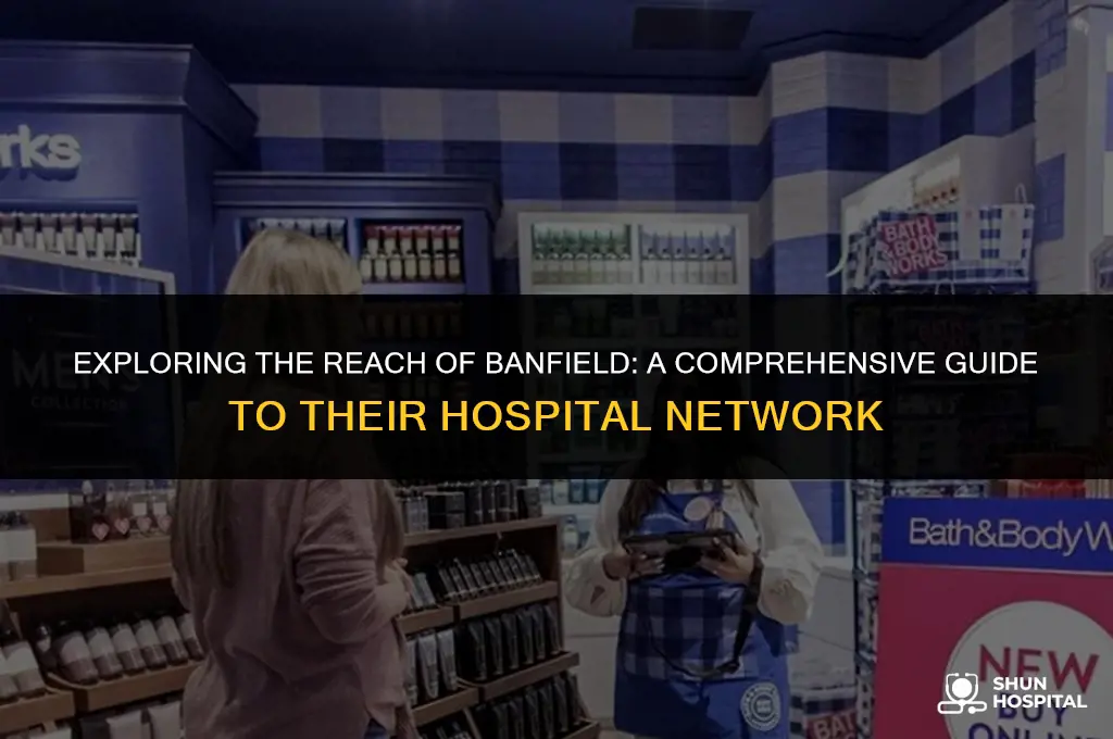 how many banfield hospitals are there