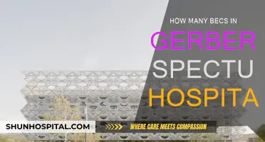 Gerber Spectrum Hospital: Countless BECs Revolutionizing Healthcare