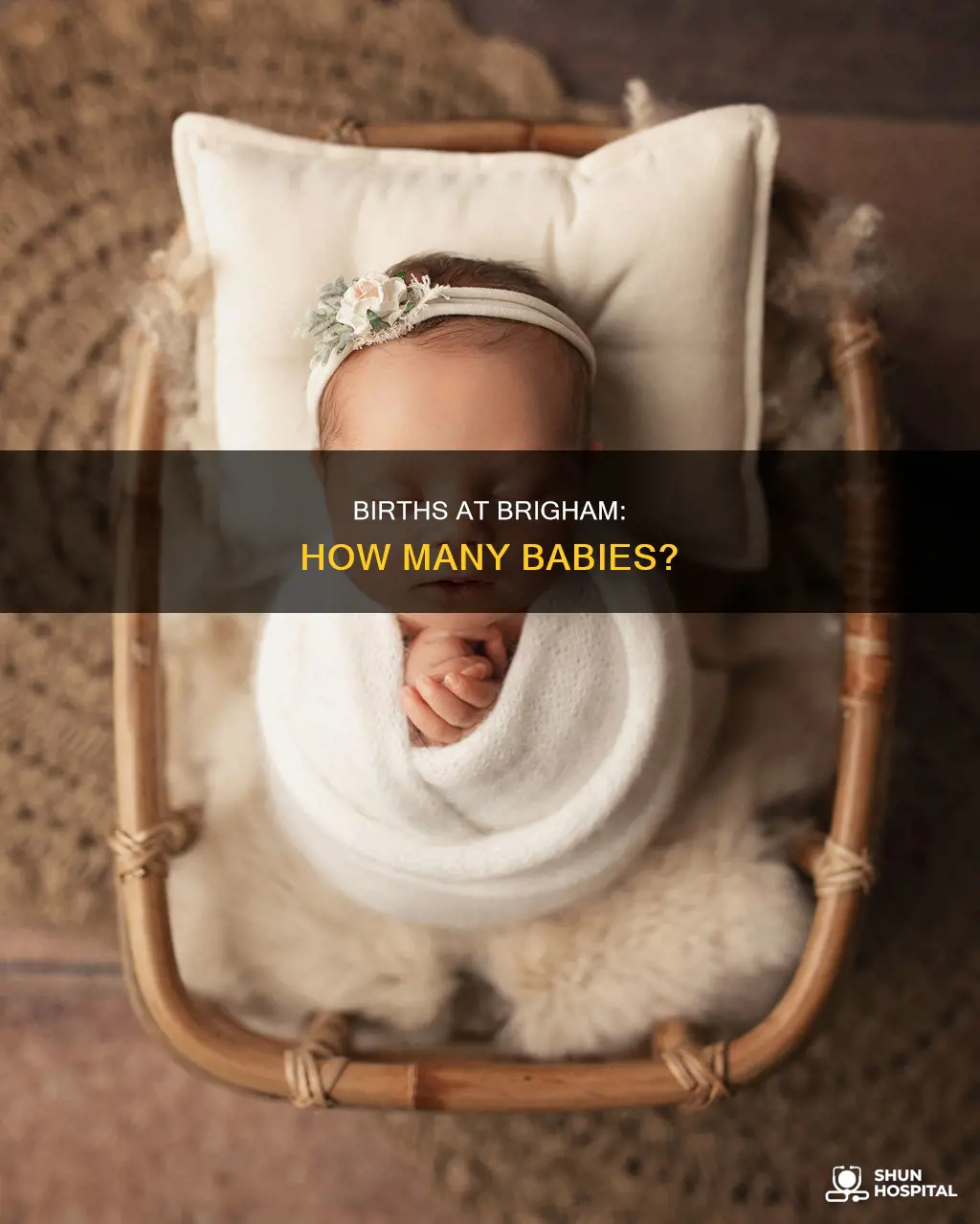 how many birth brigham women