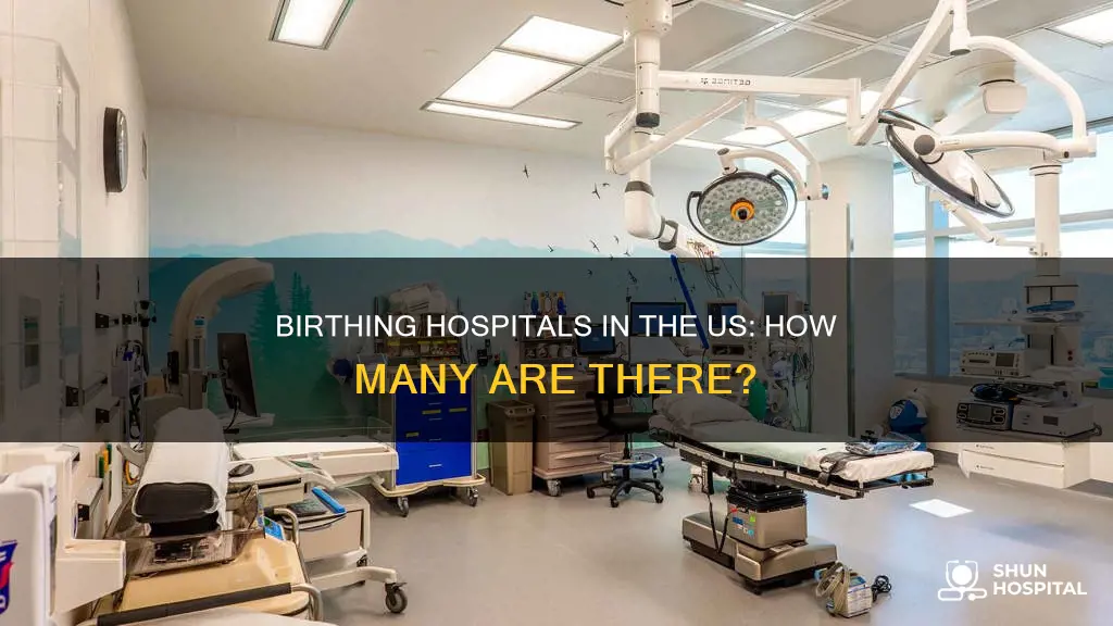 how many birthing hospitals in the us