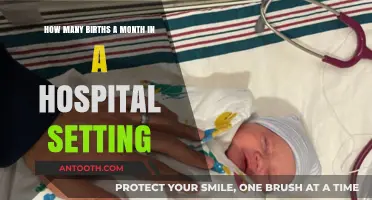 Monthly Birth Rates: Understanding Hospital Deliveries and Trends