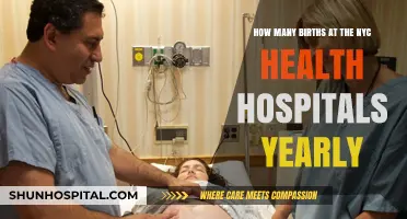 Annual NYC Health Hospitals Birth Rates: A Comprehensive Overview