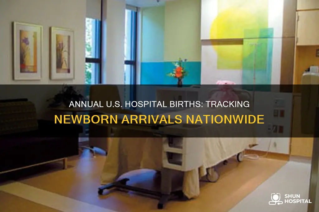 how many births in hospitals each year in the us