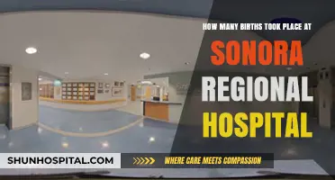 Sonora Regional Hospital's Birth Statistics: A Comprehensive Overview