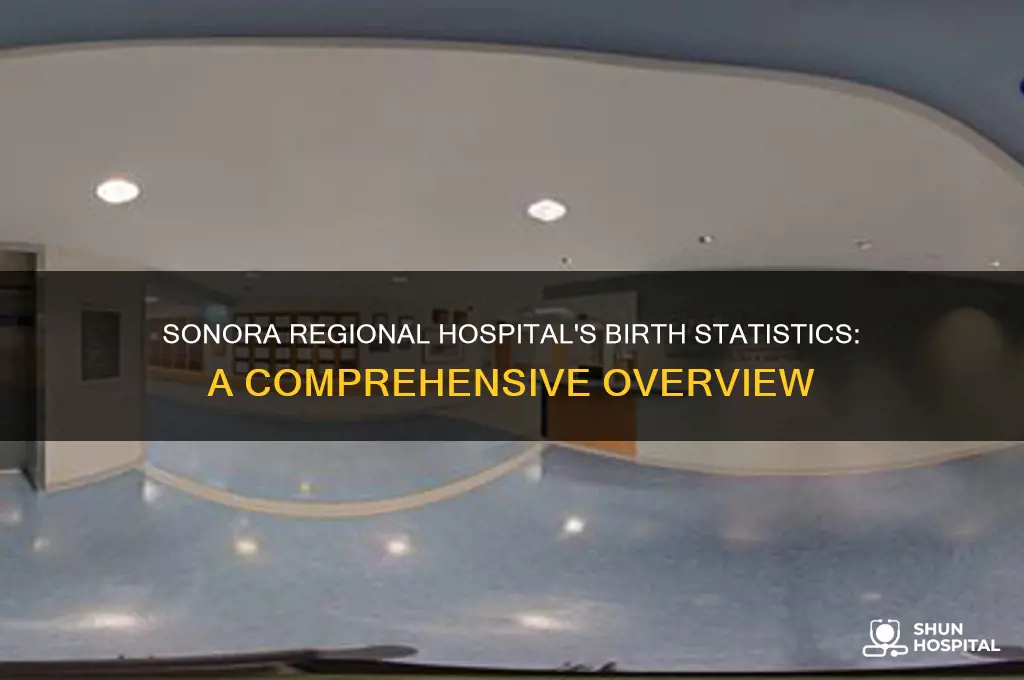 how many births took place at sonora regional hospital