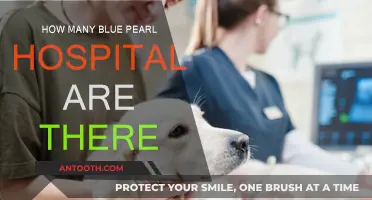 Blue Pearl Hospitals: A Comprehensive Network of Healthcare