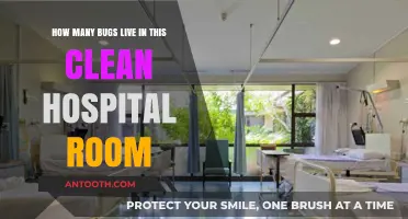 Unseen Hospital Room Bugs: How Many Lurk in Clean Spaces?