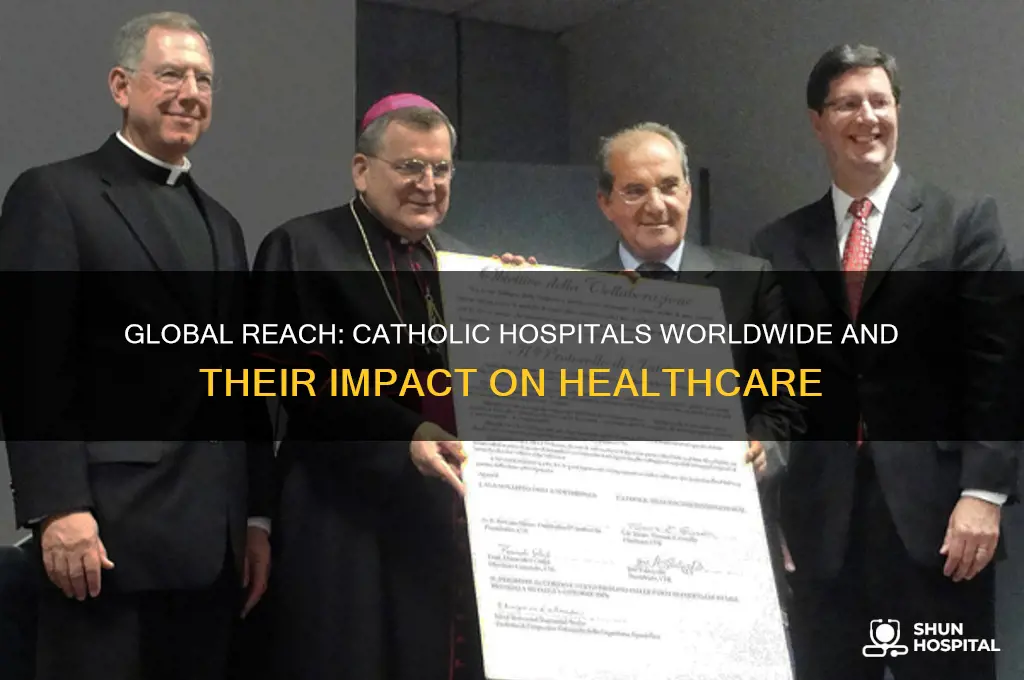 how many catholic hospitals are there in the world