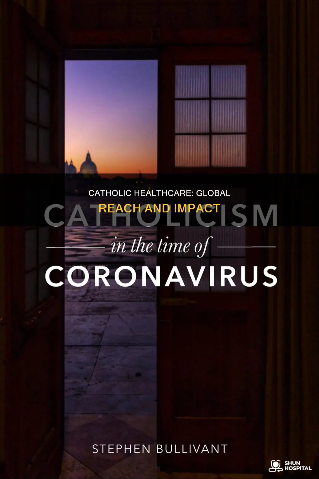 how many catholic hospitals in the world