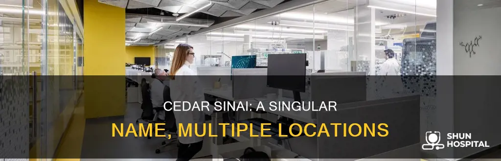 how many cedar sinai hospitals are there