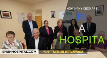 Hospital CEO Structure: How Many Leaders?
