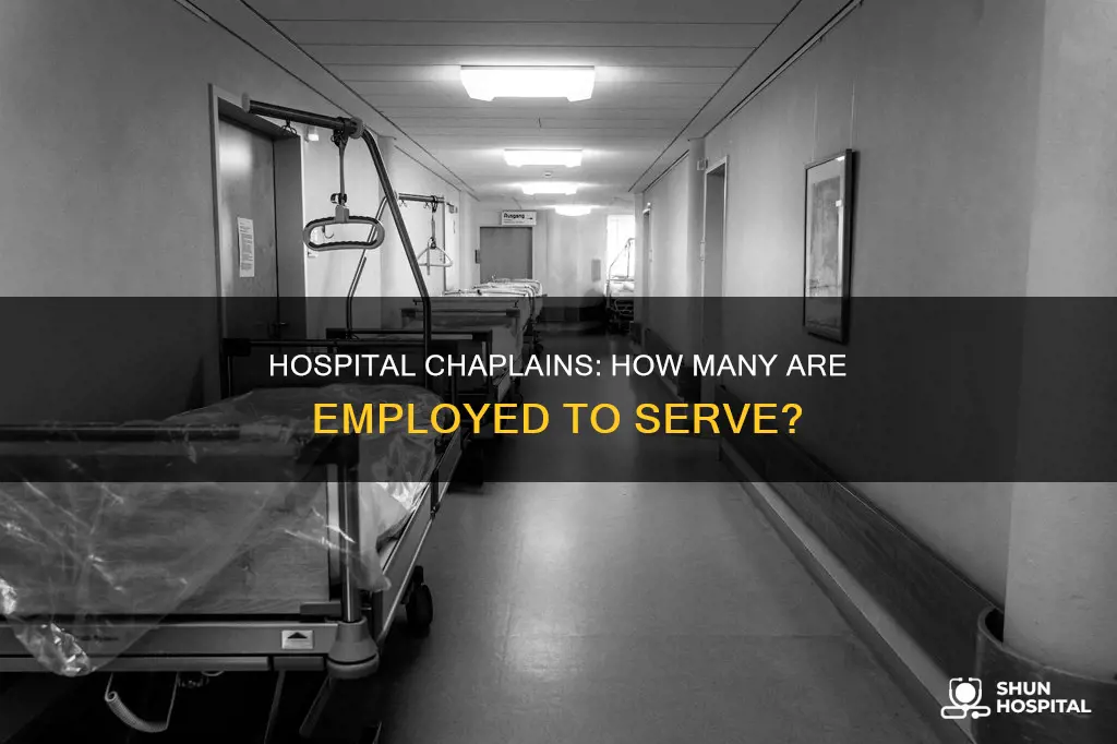 how many chaplains are employed in hospitals
