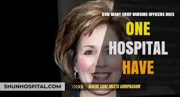 Understanding Chief Nursing Officer Roles and Numbers in Hospitals