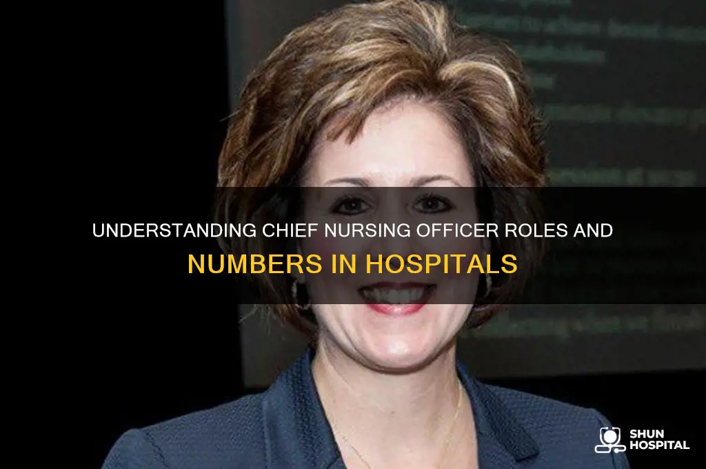 how many chief nursing officers does one hospital have