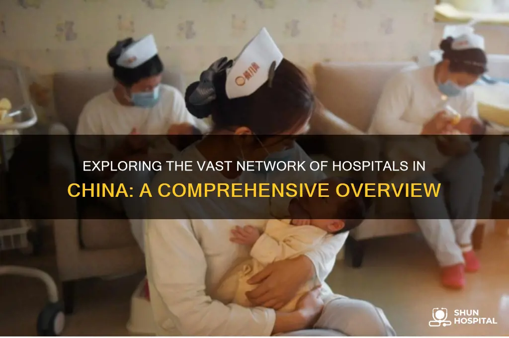 how many chinese hospital