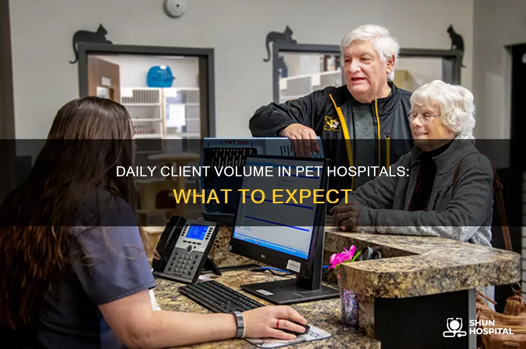 how many clients a day are seen in pet hospital