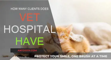 Vet Hospital's Client List: How Long is It?
