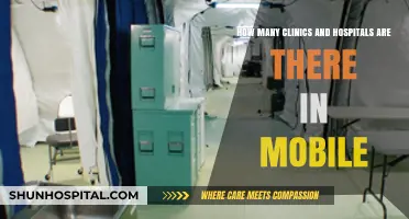 Exploring Mobile's Healthcare Landscape: Clinics and Hospitals Count