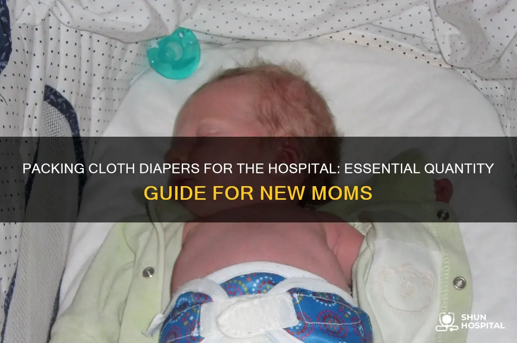 how many cloth diapers should i bring to the hospital