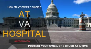 VA Hospitals: Suicide Rates and Prevention