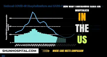 US COVID-19 Hospitalizations: Current Numbers and Trends Explained