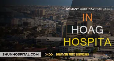 Hoag Hospital's COVID-19 Cases: An Overview