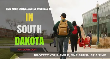 Exploring South Dakota's Critical Access Hospitals: Count and Impact