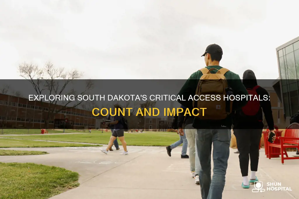 how many critical access hospitals are in south dakota