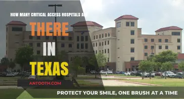 Critical Access Hospitals in Texas: Current Count and Distribution