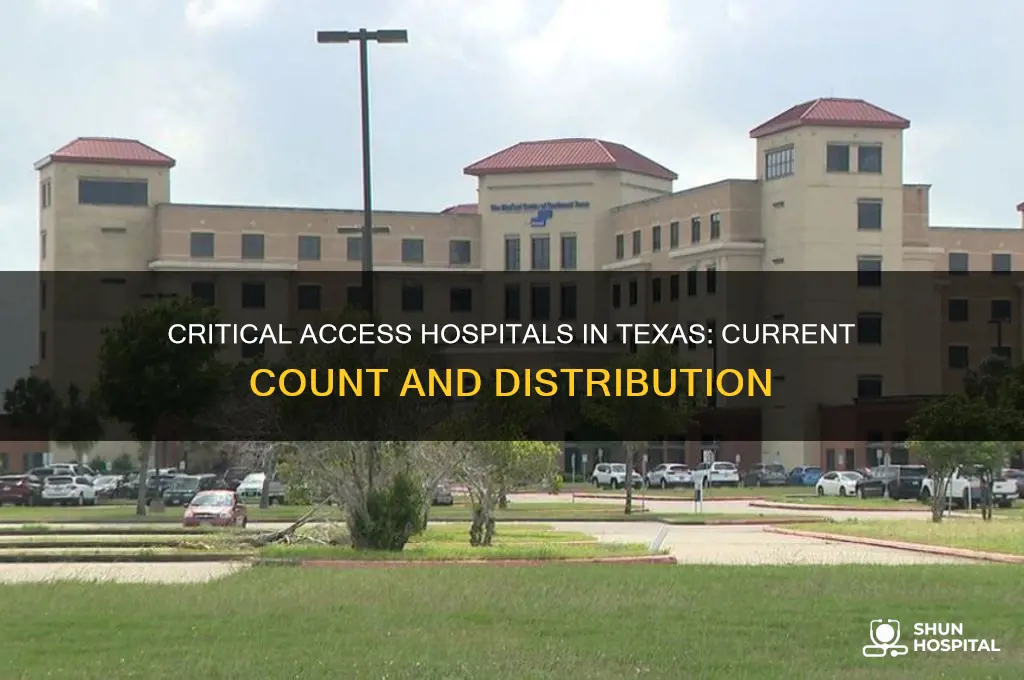 how many critical access hospitals are there in texas