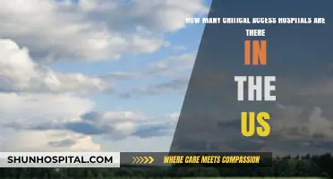 Exploring the Number of Critical Access Hospitals Across the US