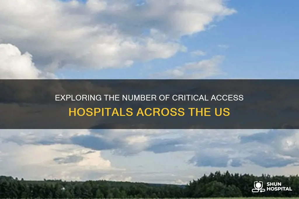 how many critical access hospitals are there in the us