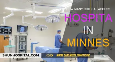 Critical Access Hospitals: Minnesota's Rural Healthcare Lifeline