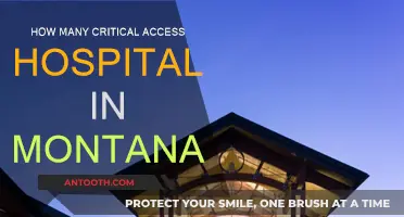 Critical Access Hospitals: Montana's Rural Healthcare Lifeline