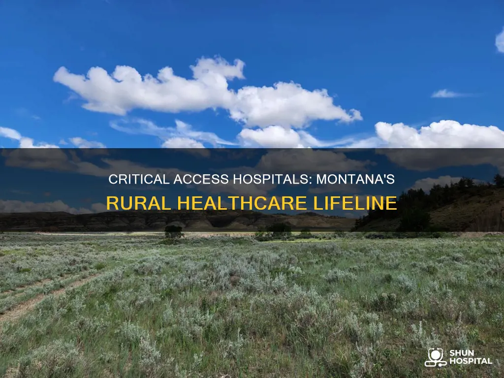 how many critical access hospitals in montana