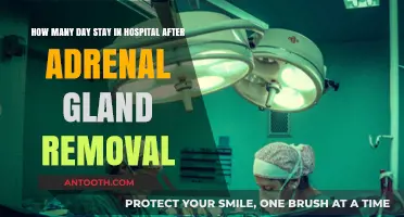 Recovery Timeline: Hospital Stay After Adrenal Gland Removal Surgery