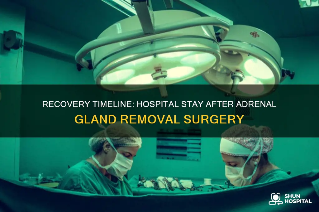 how many day stay in hospital after adrenal gland removal