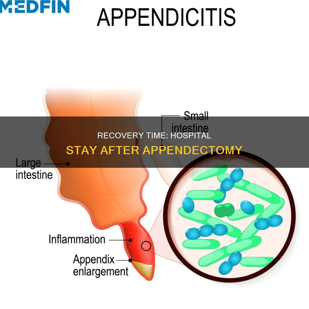 how many days in hospital after appendectomy