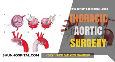 Recovery Timeline: Hospital Stay After Thoracic Aortic Surgery Explained