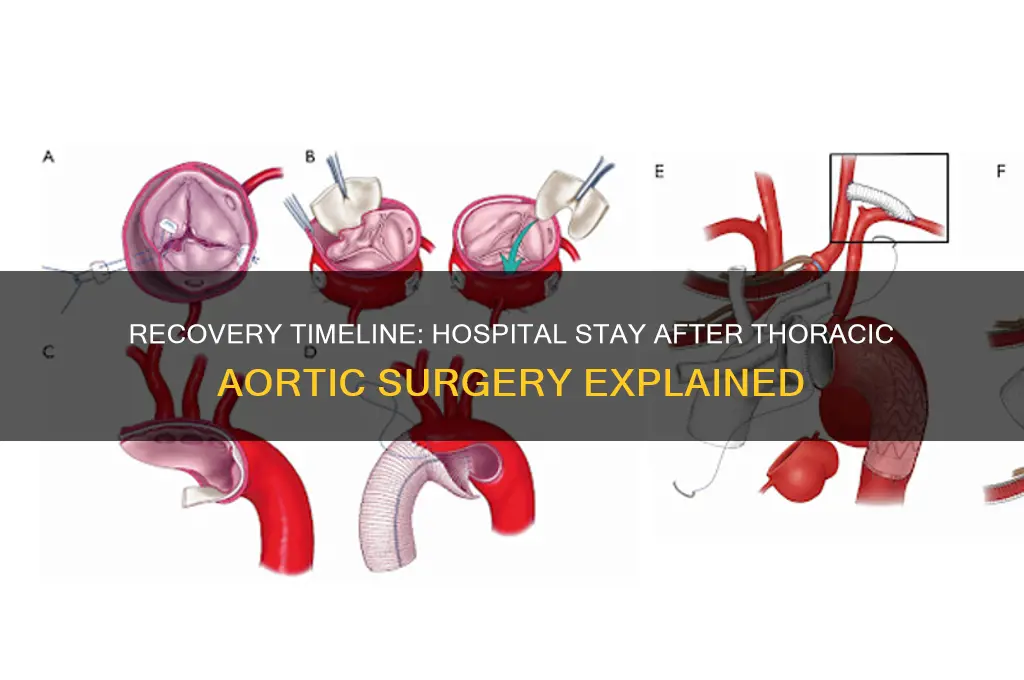how many days in hospital after thoracic aortic surgery