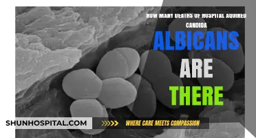 Hospital-Acquired Candida Albicans: Uncovering Deadly Infection Statistics