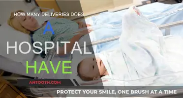 Hospital Deliveries: Counting the Number of Births