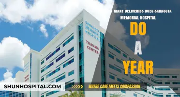 Sarasota Memorial Hospital's Annual Delivery Count: A Closer Look