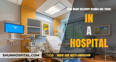 Exploring Hospital Delivery Rooms: Understanding Their Numbers and Functions