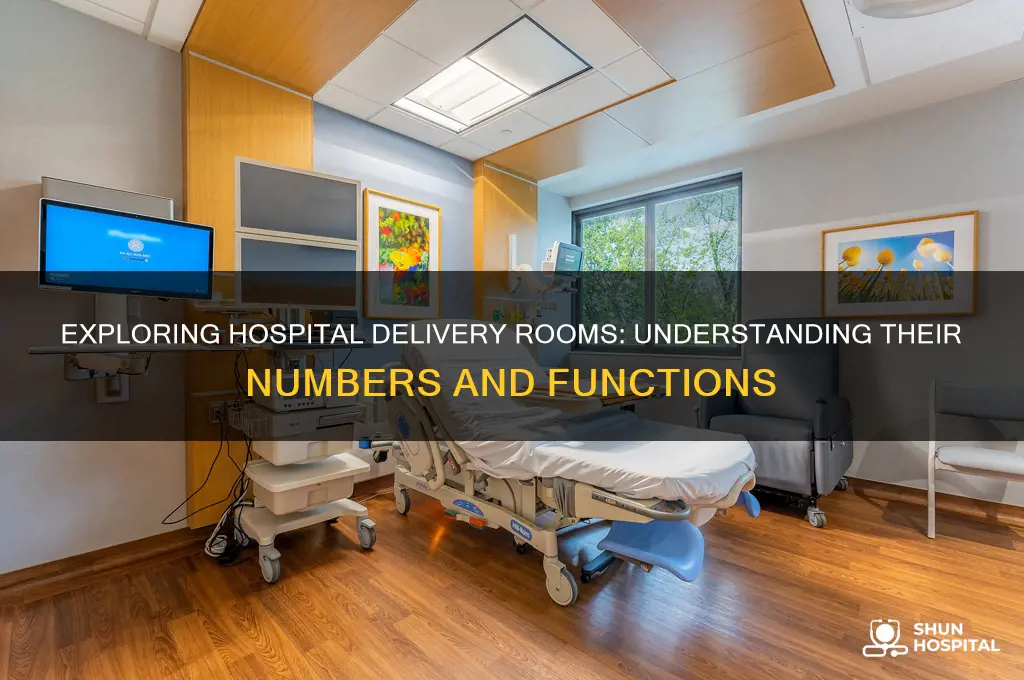 how many delivery rooms are there in a hospital