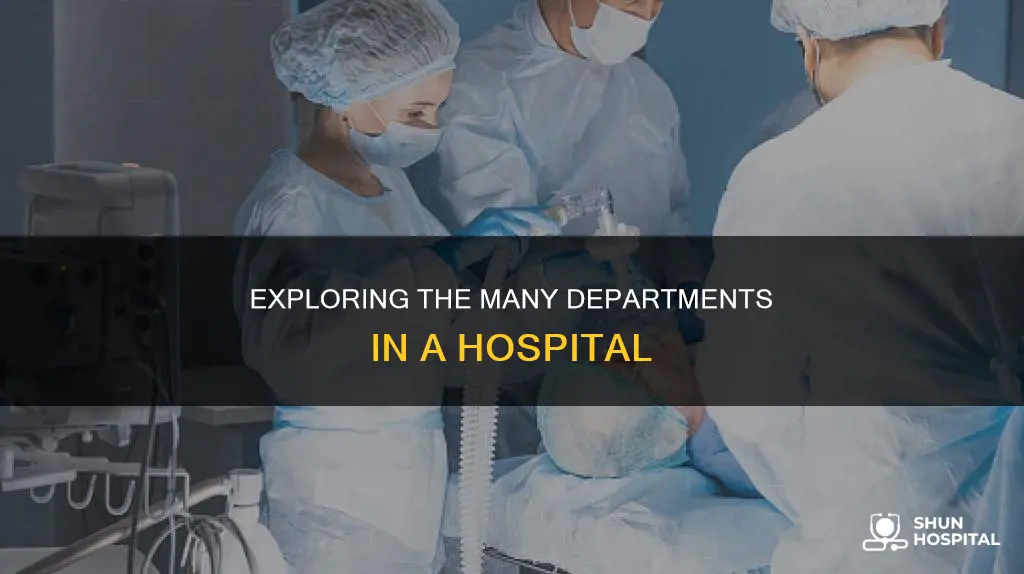 how many department are there in hospital