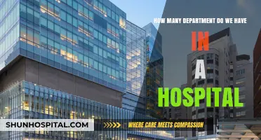 Exploring the Diverse Departments Within a Modern Hospital Structure
